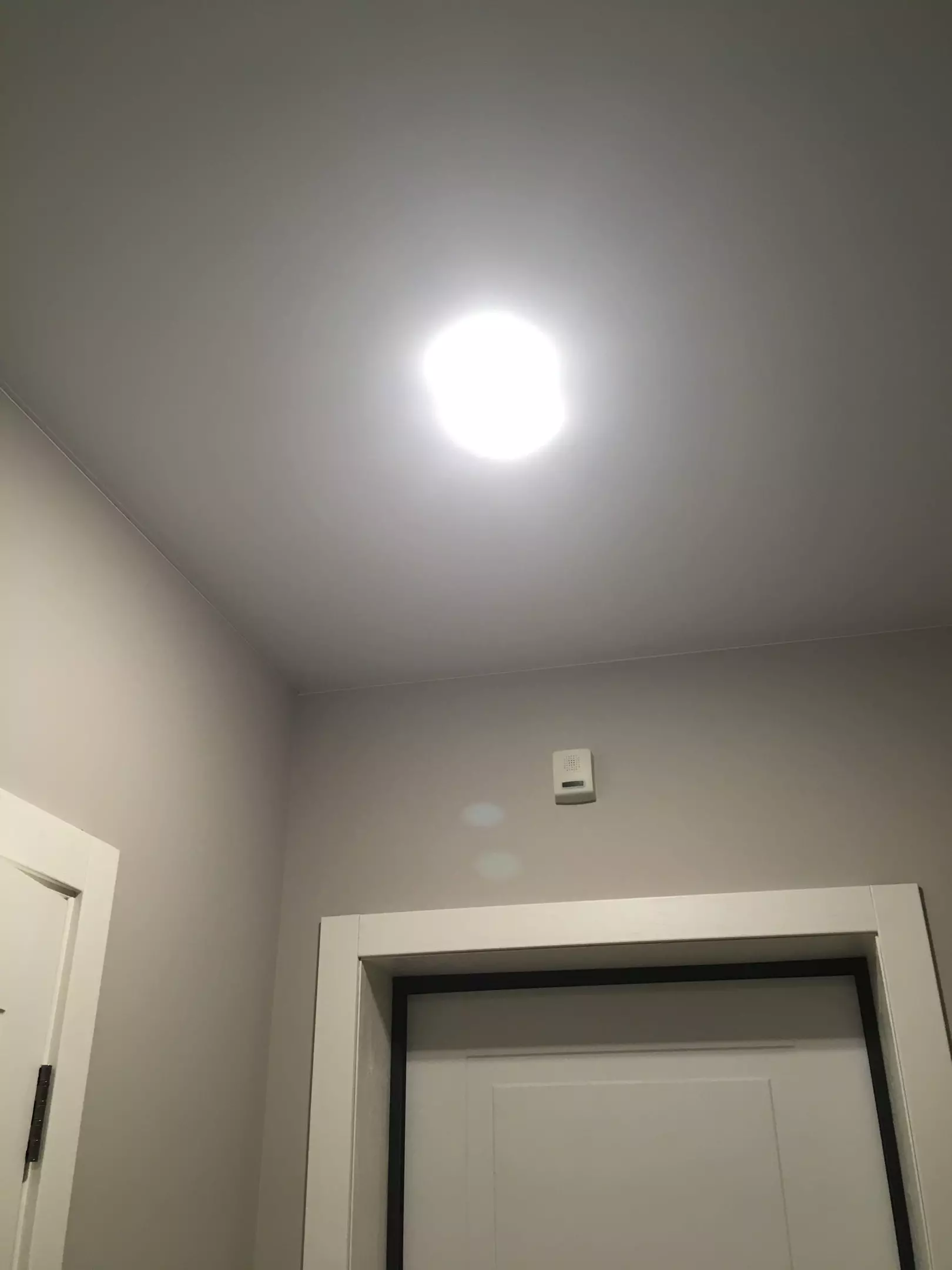 Архангельск, Розинга, 10, фото 3