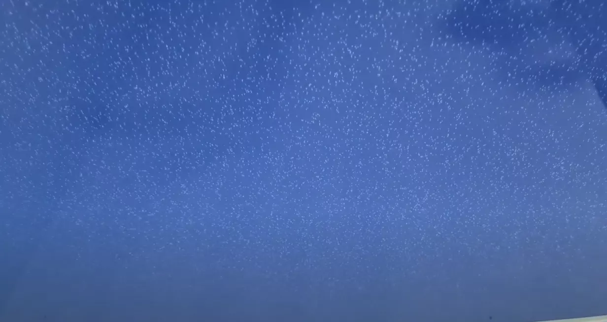 Астрахань, Софьи Перовской, 73, фото 3