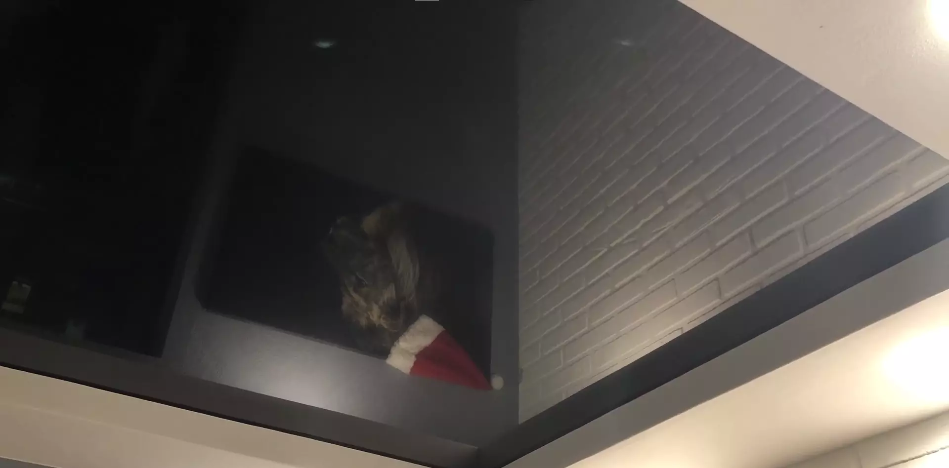 Коломна, , фото 3