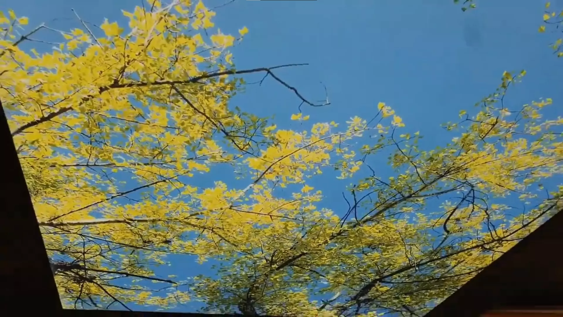 Коломна, , фото 2